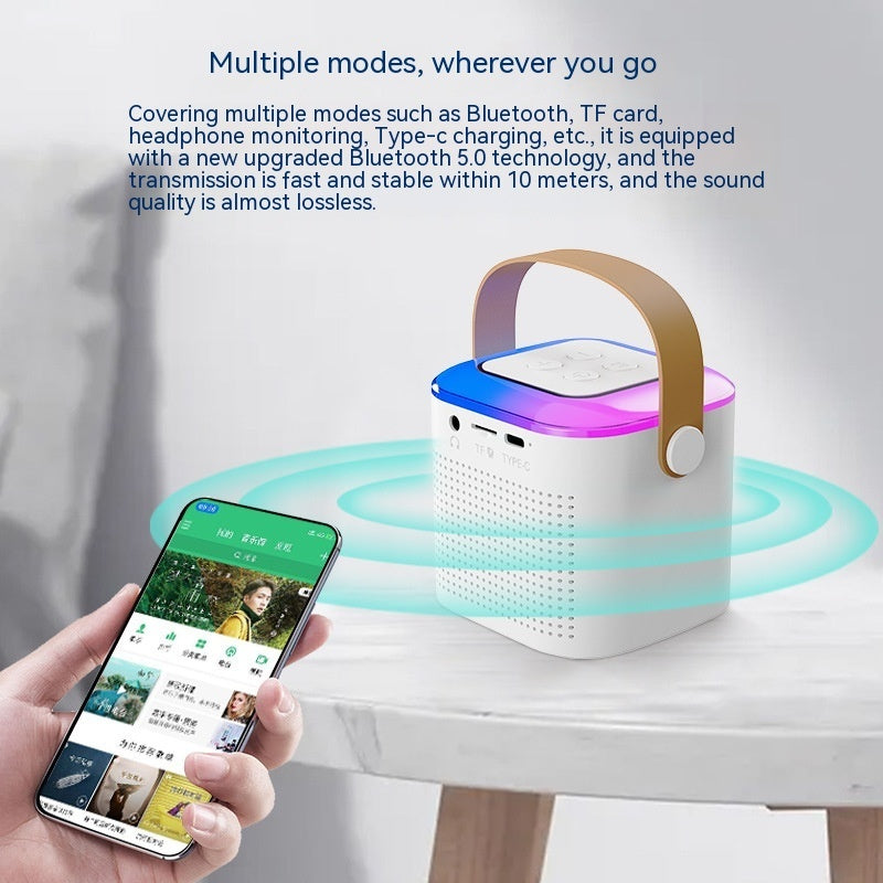 Bluetooth Karaoke Machine with 2 Mics