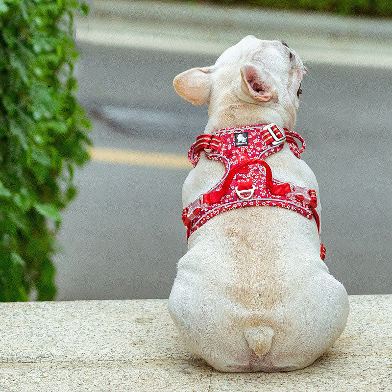 Dog Vest Harness & Leash Set