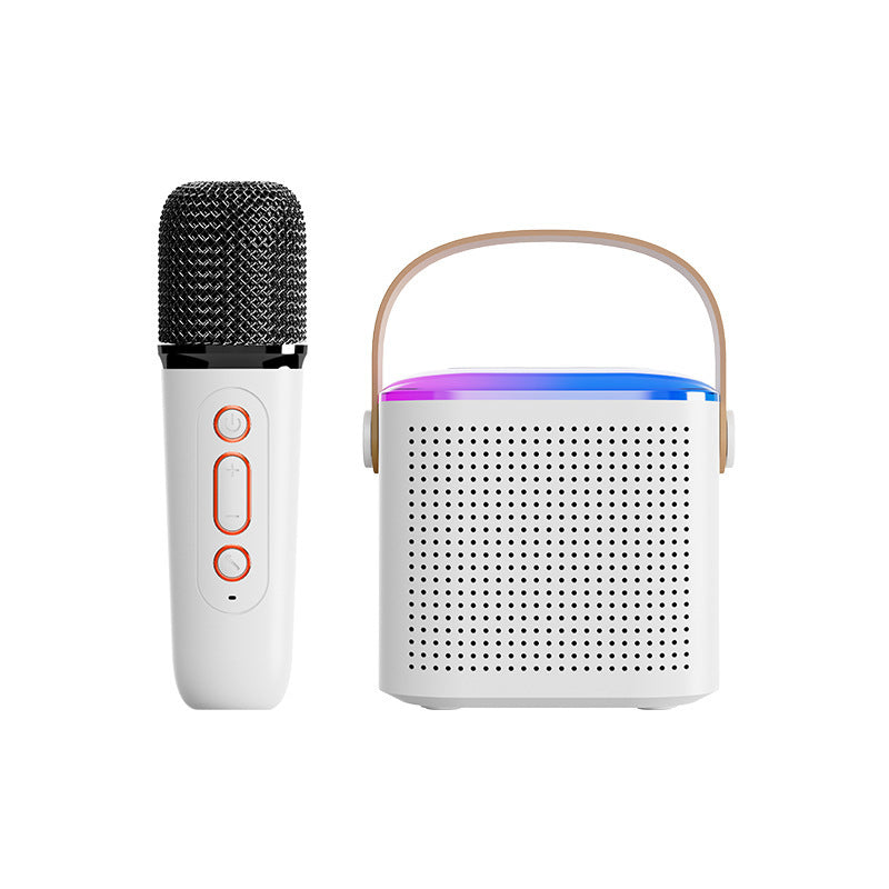 Bluetooth Karaoke Machine with 2 Mics