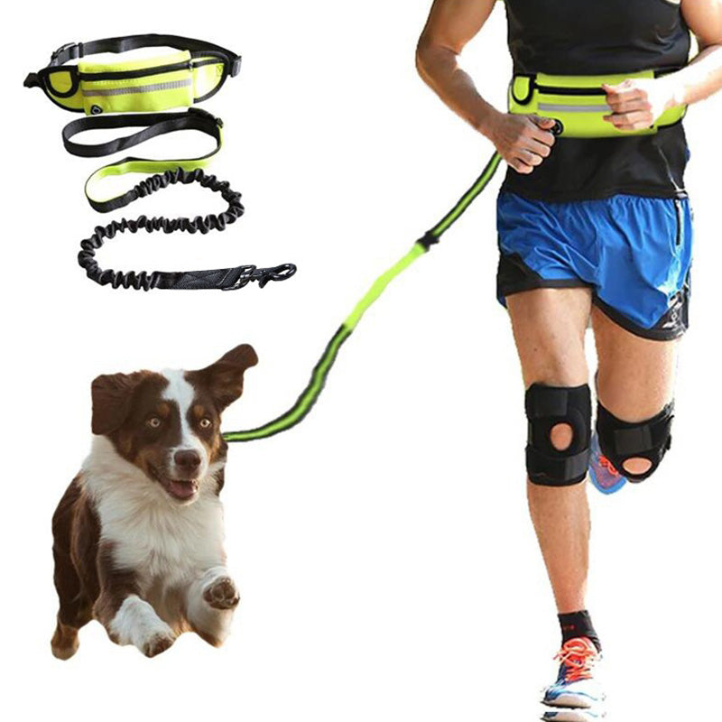 Hands-Free Bungee Dog Leash Belt