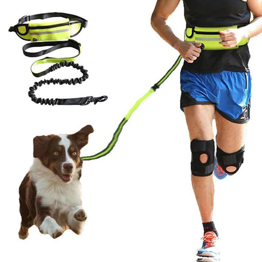 Hands-Free Bungee Dog Leash Belt