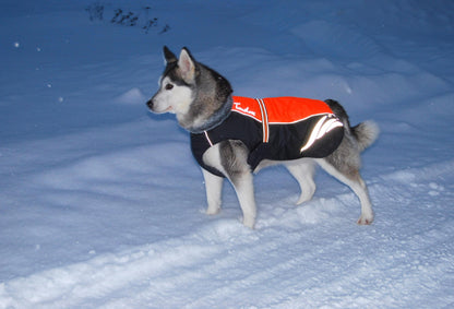 Winter Down Jacket for Dogs