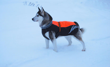 Winter Down Jacket for Dogs