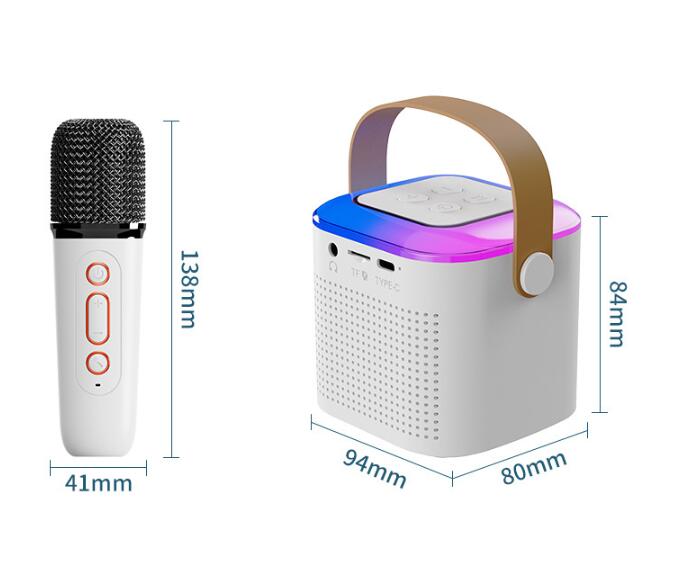 Bluetooth Karaoke Machine with 2 Mics